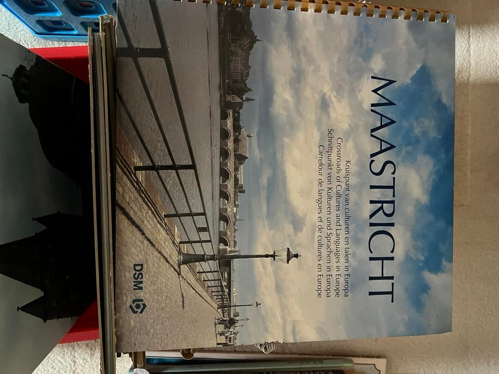 DSM serie - Limburg, Ophalen of Verzenden, 20e eeuw of later, Zo goed als nieuw