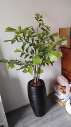 Fishtail palm incl pot kunstplant, Ophalen, Zo goed als nieuw, Binnen