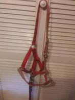 Harry horses halster, Ophalen of Verzenden