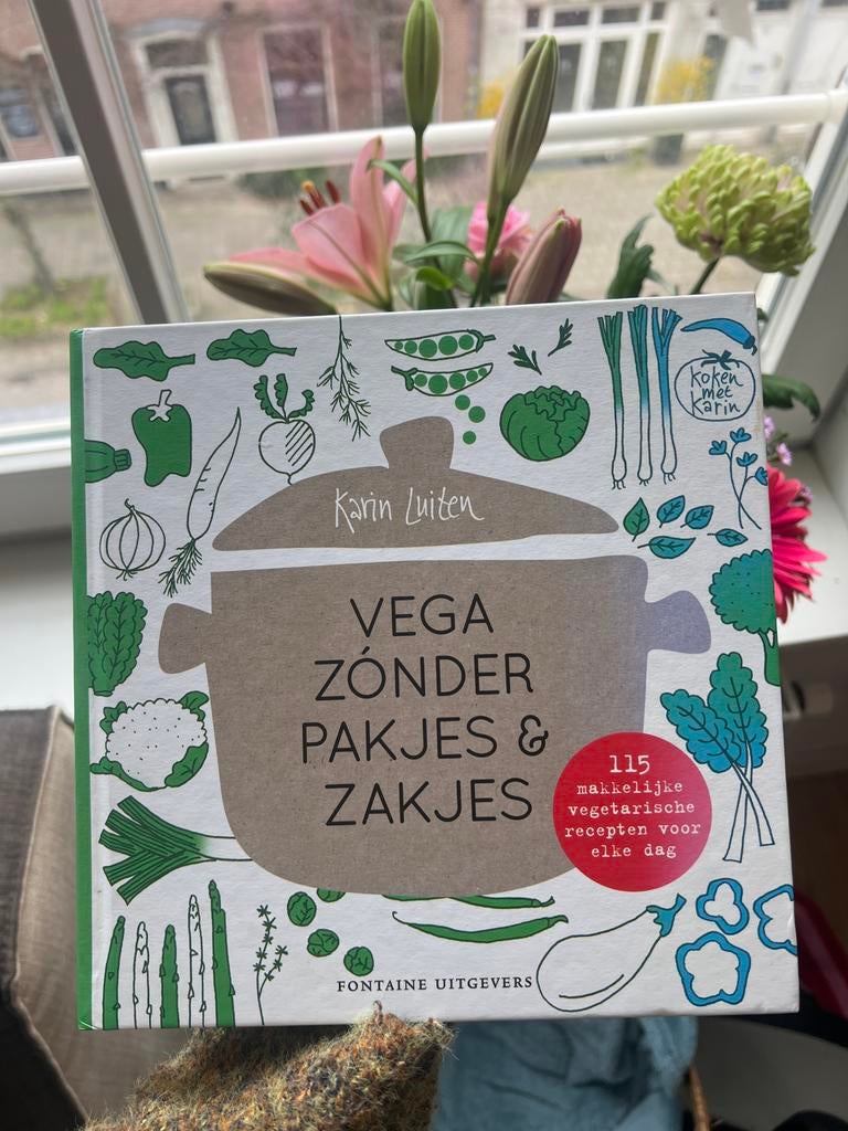 Vega zónder pakjes & zakjes - Karin Luiten, Hoofdgerechten, Vegetarisch, Ophalen of Verzenden, Zo goed als nieuw