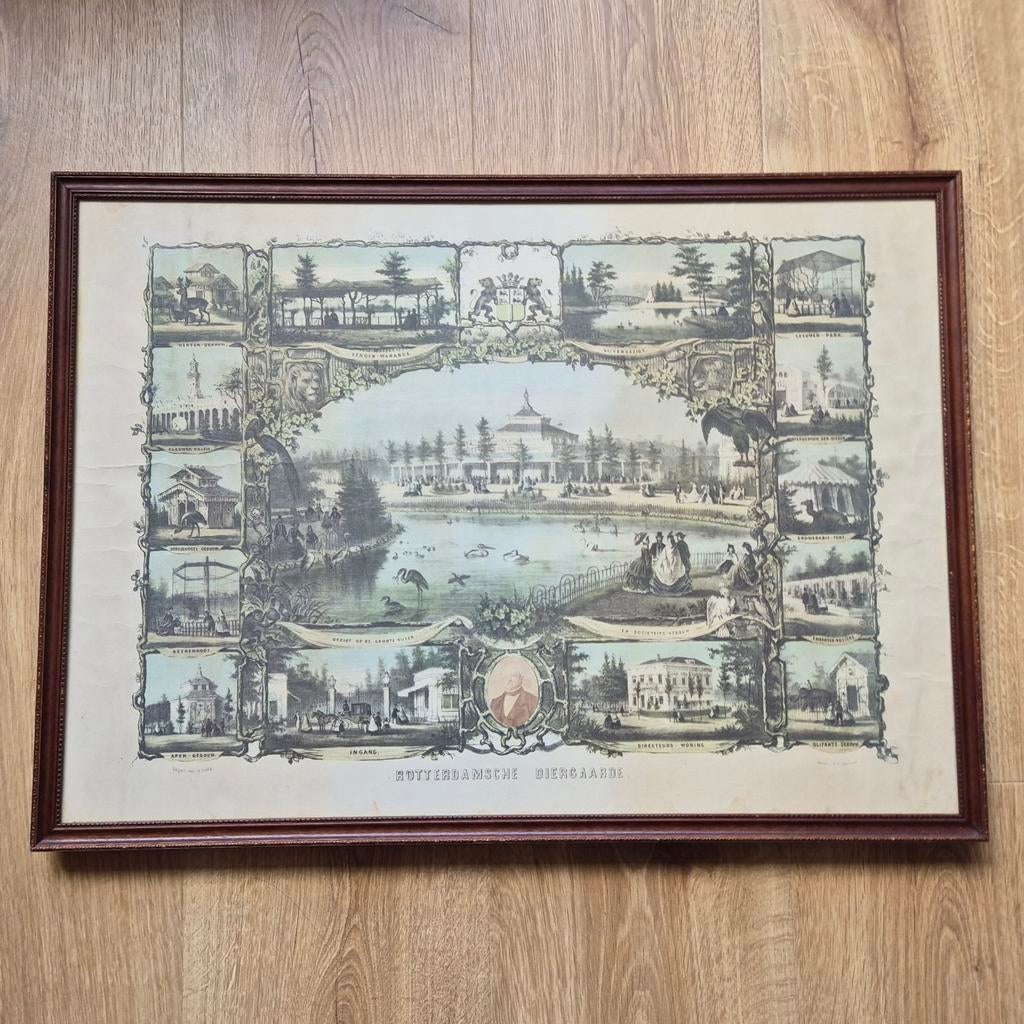 Rotterdamsche Diergaarde (Blijdorp) - Antieke print vintage, Antiek en Kunst, Kunst | Etsen en Gravures, Ophalen, Ingelijst, 1800 - 1899