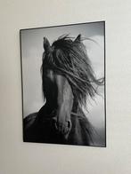 Groot paardenschilderij /foto incl lijst, Ophalen, Zo goed als nieuw, Hout, 75 cm of meer