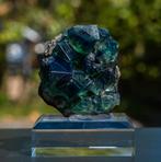 fluoriet uit pocket 42 #15, Ophalen of Verzenden