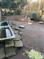 broedeieren indische loopeenden te koop, Dieren en Toebehoren, Geslacht onbekend, Eend