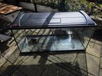 Eheim aqua180 pro aquaruim incl lamp en filter, Dieren en Toebehoren, Ophalen, Zo goed als nieuw, Leeg aquarium
