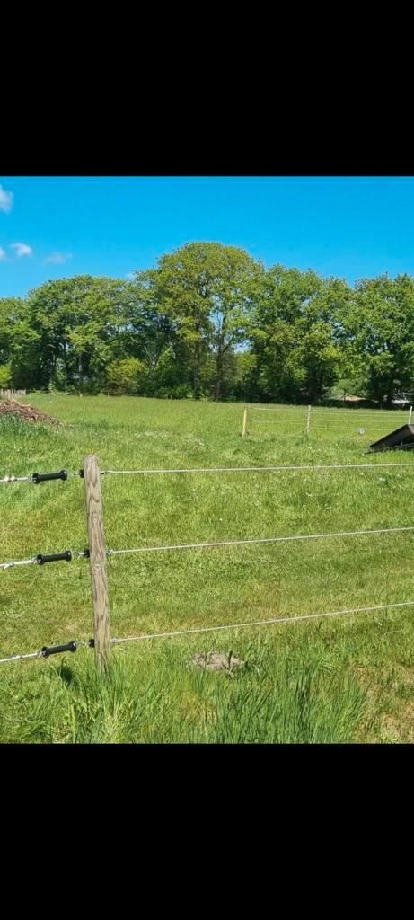 Omheining te koop, Dieren en Toebehoren, Stalling en Weidegang