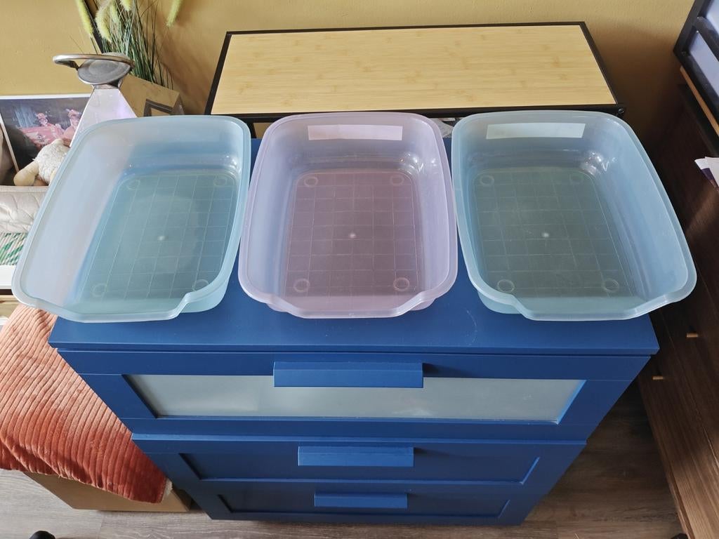 Kitten Kattenbakjes in 3 verschillende kleuren, Ophalen of Verzenden, Zo goed als nieuw