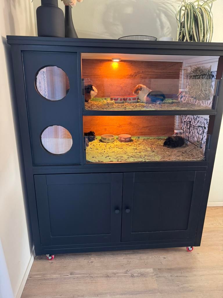 Cavia flat/kast voor binnen, Ophalen, 110 cm of meer, Zo goed als nieuw, 90 cm of meer