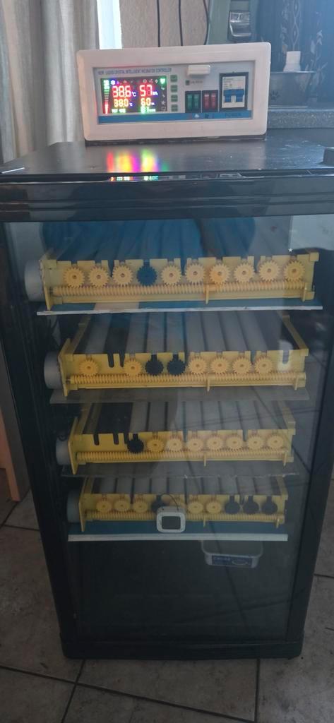 Incubator broedmachine, Dieren en Toebehoren, Pluimvee, Kip, Geslacht onbekend