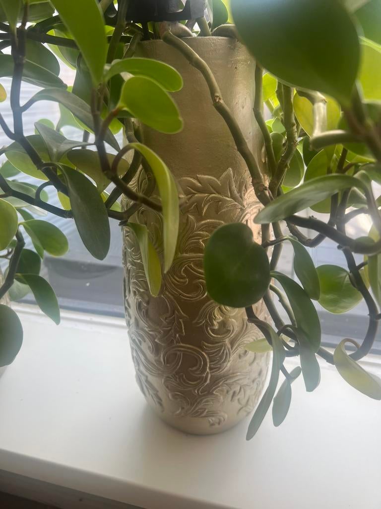 Planten, Rond, Ophalen of Verzenden, Zo goed als nieuw, Aardewerk