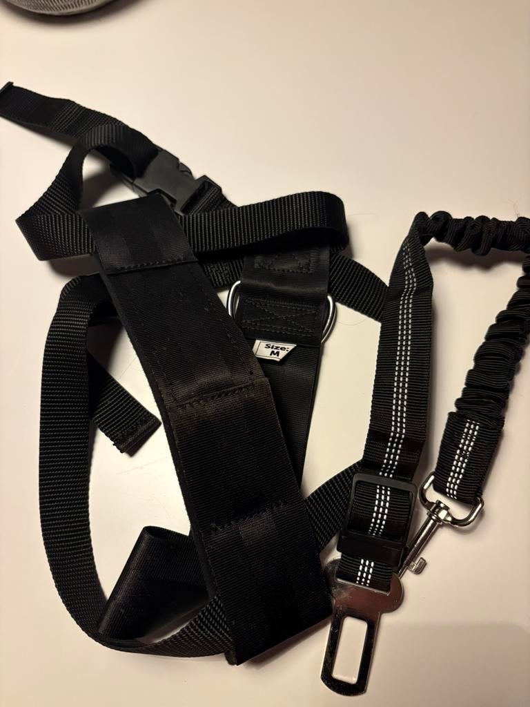 Honden Beeztees - Wandel & autogordel M, Dieren en Toebehoren, Ophalen of Verzenden, Zo goed als nieuw