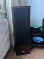 2x Tannoy D30 Rosewood PLUS boxen, Audio, Tv en Foto, Luidsprekers, Gebruikt, 120 watt of meer, Front, Rear of Stereo speakers