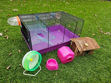 Complete knaagdierenkooi beschikbaar voor biedingen