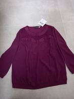 Nieuw! Mooie shirt Maat 50, Paars, Maat 46/48 (XL) of groter, Nieuw, Ophalen of Verzenden