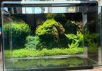 Superfish 110 aquarium, oasis bio filter en overige spullen, Dieren en Toebehoren, Vissen | Aquaria en Toebehoren, Ophalen, Nieuw