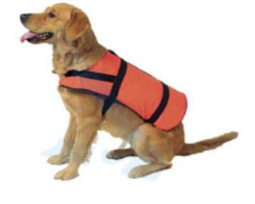Zwemvest voor de hond beschikbaar voor biedingen