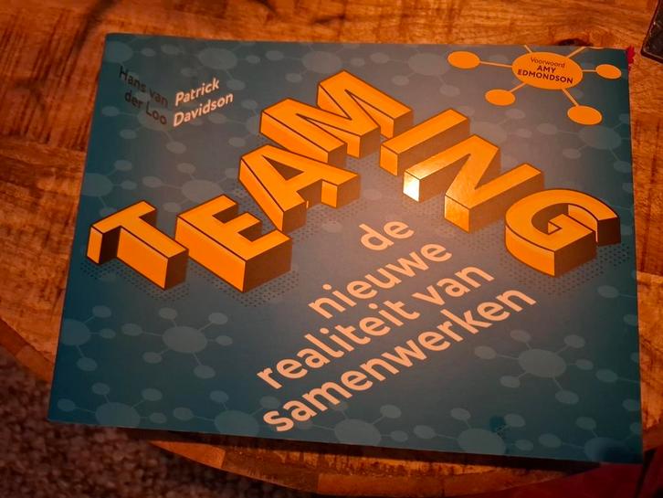 Hans van der Loo - Teaming, Boeken, Advies, Hulp en Training, Zo goed als nieuw, Ophalen of Verzenden