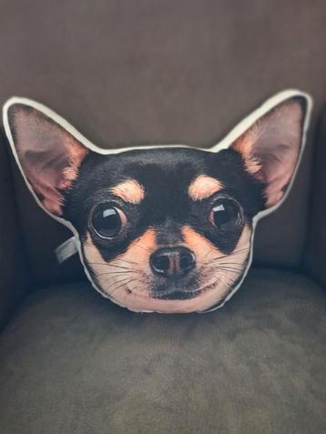Sierkussen Chihuahua - Zo goed als nieuw! beschikbaar voor biedingen
