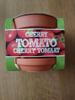 Groeisetje voor cherrytomaatjes GRATIS, Ophalen, Volle zon, Knol