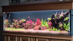 aquarium te koop, Dieren en Toebehoren, Vissen | Aquaria en Toebehoren, Ophalen, Zo goed als nieuw, Leeg aquarium