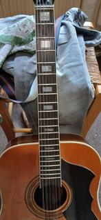 gitaar, Ophalen, Gebruikt, Western- of Steelstringgitaar, 12-snarig