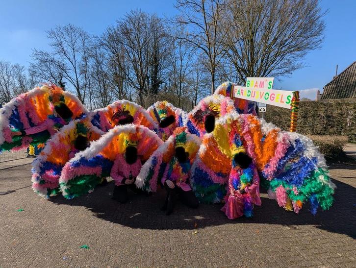 Kleurrijke loopgroep, Hobby en Vrije tijd, Feestartikelen, Gebruikt, Kostuum, Carnaval, Ophalen of Verzenden