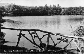 (386-288-017) Den Haag Loosduinen Meer en Bosch beschikbaar voor biedingen