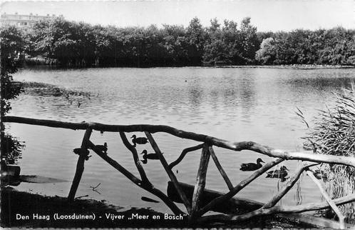 (386-288-017) Den Haag Loosduinen Meer en Bosch, Verzamelen, Ansichtkaarten | Nederland, Zuid-Holland, Verzenden