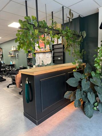 Toonbank/ bar met stalen frame voor planten of flessen beschikbaar voor biedingen