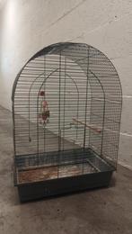 Kooi, Dieren en Toebehoren, Vogels | Hokken en Kooien, Ophalen of Verzenden