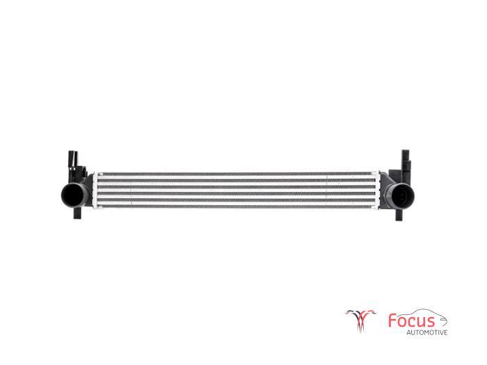 Intercooler van een Volkswagen Polo, -, Volkswagen, -, Nieuw