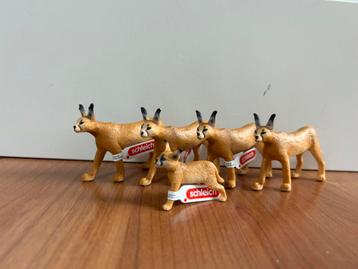 Schleich caracal beschikbaar voor biedingen