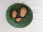 emaille schaal met eieren in houtlook brocante B&B accesoire, Ophalen, Gebruikt, Rond, Overige materialen
