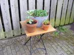 Leuke planten / terras tafel opklapbaar, Huis en Inrichting, Tafels | Bijzettafels, 60 cm of meer, Gebruikt, Hout, Ophalen