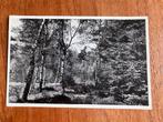 Het grote bos. Doorn. Post Driebergen. 1958., Ophalen of Verzenden, 1940 tot 1960, Gelopen, Utrecht