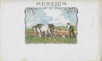 etiket R -9721  rustica      sigarenbandjes, Verzenden, Nieuw, Sigarenbandjes