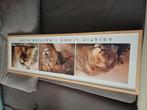 Ikea print leeuwen., Huis en Inrichting, Woonaccessoires | Schilderijen, Tekeningen en Foto's, Ophalen, Zo goed als nieuw, Print