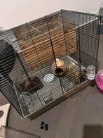 Hamster hok incl. Inhoud op foto’s, Minder dan 75 cm, Minder dan 60 cm, Zo goed als nieuw, Hok