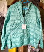 Nieuwe dames winterjas, Ophalen of Verzenden, Nieuw, Maat 42/44 (L), Overige kleuren