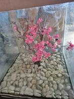 Costum gemaakt aquarium, Dieren en Toebehoren, Ophalen, Zo goed als nieuw, Leeg aquarium