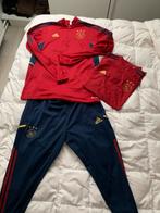 Ajax Trainingspak Set Adidas, Maat 52/54 (L), Ophalen of Verzenden, Zo goed als nieuw, Voetbal