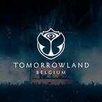 12x W1 Tomorrowland - Glorious Sunday Pass, Tickets en Kaartjes, Evenementen en Festivals, Drie personen of meer