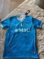 Nieuw Napoli EA7 shirt - Noa Lang - Maat L, Maat L, Ophalen of Verzenden, Nieuw, Shirt