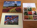 Tulpen, Verzenden, Ongelopen, Sterren en Beroemdheden
