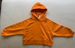 Zara sweatshirt maat 120, 6-7 jaar, Ophalen of Verzenden, Nieuw, Jongen of Meisje, Trui of Vest
