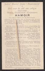 Bidprentje Hamoir, Verzamelen, Bidprentjes en Rouwkaarten, Verzenden