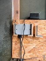 Benzing Duivenklok + Antennes, Mannelijk, Postduif