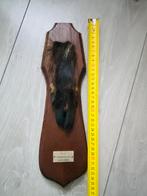 Taxidermie Everzwijn Poot wandmontage vintage, Ophalen of Verzenden