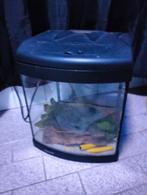 Aqua-40 aquarium met toebehoren, Ophalen of Verzenden, Gebruikt, Leeg aquarium