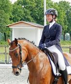 Ervaren instructeur aangeboden, Diensten en Vakmensen, Dieren | Paarden | Verzorging, Oppas en Les